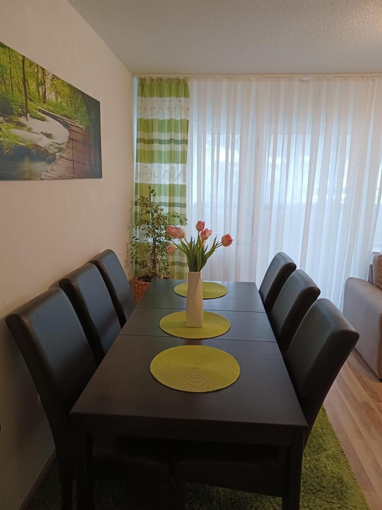 H&A Apartment Baden Baden المظهر الخارجي الصورة